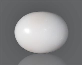 Natural White Coral 13.23 cts ( 49906 )